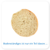 semmel-halb